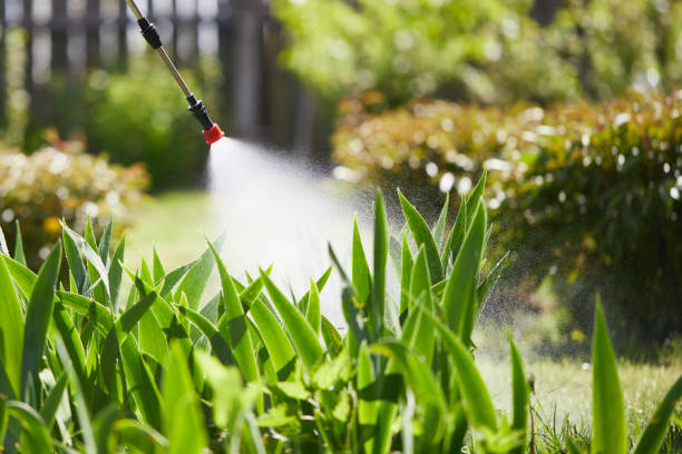 24/7 Emergency Ant Control experts in Bakersfield, CA